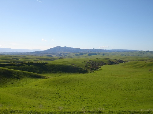 California spring